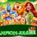 ndnd Champion Brasil