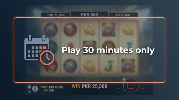 Payment and PKR controls in lucky102 - screenshot of terms of use